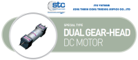 dual-gear-head-dc-motor.png